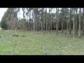 videos de HOUSE PROPIEDADES PARCELA RIO CHAMIZA 1