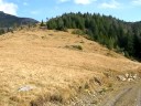 milishevci