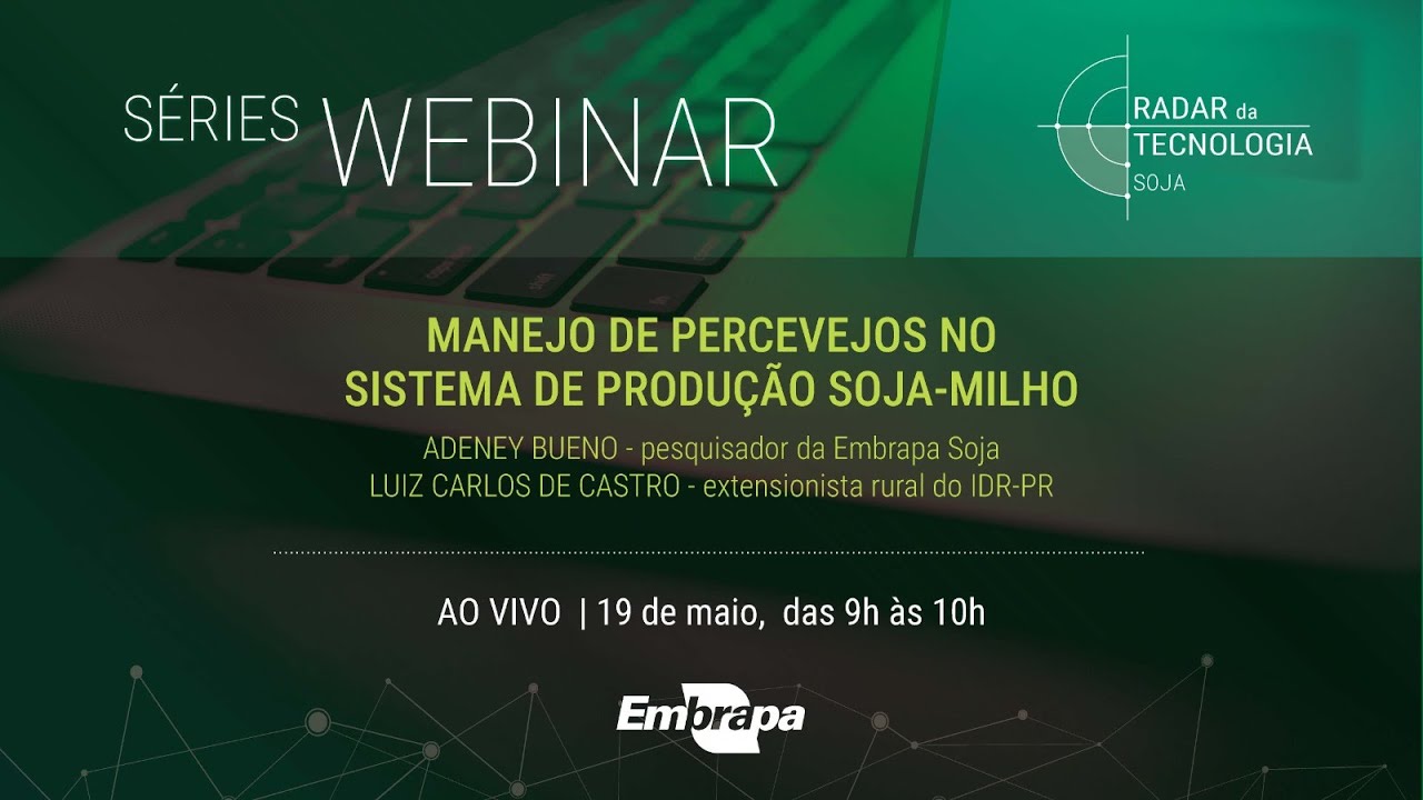 Manejo do percevejo no sistema soja-milho