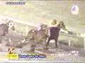 Oct-28-2007-Races-SL