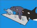 Cetacean Idol