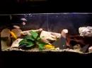 mon 80 litres