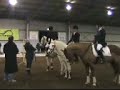 ASPR pony 6 bar 2008