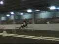 ASPR pony 6 bar 2008