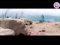 - MovieZen Video