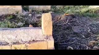 قريه لوبيه المهجره قريه لوبيه المهجره