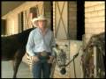 What-s-A-Zorse-form-
