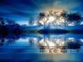 OM SHANTI