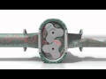 NETZSCH Tornado® Rotary Lobe Pump