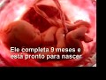 Fetal Development