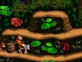 Donkey Kong Country glitch Donkey Kong Country glitch