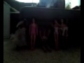 videos de Naked Man Barbies Come Out Of the Closet:)