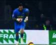 buffon