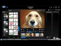 HP MediaSmart Webcam Recording Demo