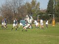 san cirano vet vs champa vet