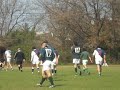 san cirano vet vs champa vet