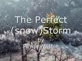 Fruity Loops song - The Perfect (snow)Storm