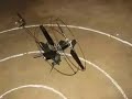 Mosquito