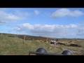 videos de killbrittan off roading