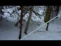 Dog sports:  skijoring