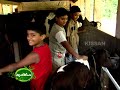 Success story of a dairy farmer George Mathew T