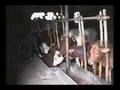 China: Vino ecológico