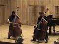 Bottesini - Pasione Amorosa
