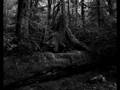 videos de Enthroned upon Still Water_0001.wmv