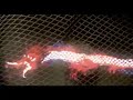 callum rex reid's video for scottish alt-rock band dawn of the replicants's 'won't harm a fly'. 