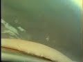 Rasante e depois pouso - Cmte Dário no Navajinho PT-DIT