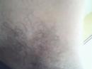 videos provisorio1
