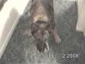 videos de JERRY LEE ENDING GOOD BY.avi