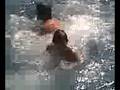 videos de giorginos k smoky (mlkies)