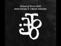 School Of Seven Bells Babelonia Official Music Video and Lyrics