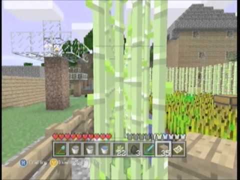 how to replant sugar cane in minecraft