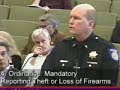 the anatomy of gun control