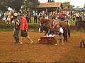 1� rodeio cabanha relincho do baio
