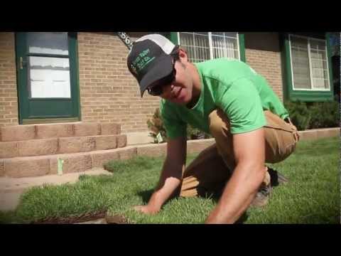 Sod - Lawn Freaks ! How To Series. Shawn will guide you through the complete process of how to install sod in a small front yard. Where to start, stagger those sea...