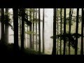 videos de xenomorph - dexterous convolutions