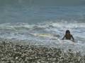 videos de Samuel Surfing en CARE