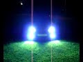 xenon bulb start up fog beam