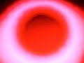 blodi\