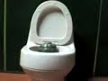 funky music toilet dancing shit funky music toilet dancing shit