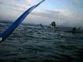 Solitaire flees Shell to Sea Kayakers