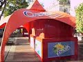 Video Blog- Febuary 6,2008
