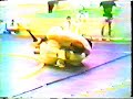 Brazilian Jiu Jitsu vs. Wrestling 