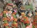 Saturday with Sri Krsna