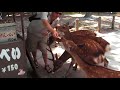 Feeding the voracious deer in Nara ??? Feeding the voracious deer in Nara ???