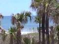 Direct-Ocean-Living-