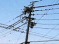 大量の爆撃機